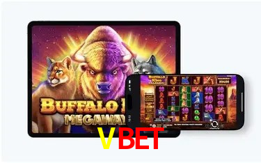 Vbet Plataforma
